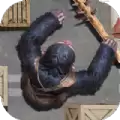 黑猩猩潜行暗杀游戏(Ape Inshadow)