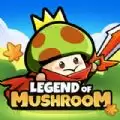蘑菇传说