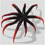 蜘蛛怪物吞噬进化