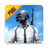 pubg国际服2024年