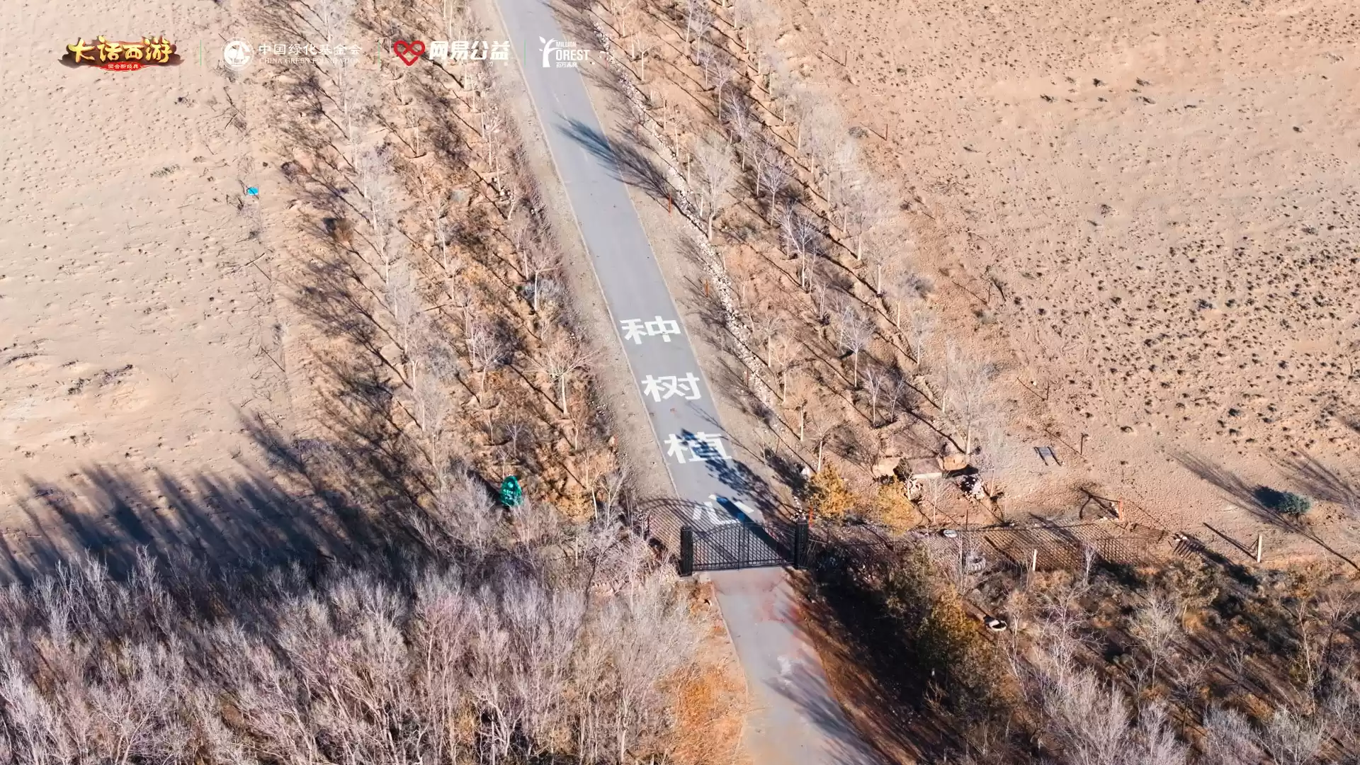 把策划“发配”荒漠后,我们收获一场公益自由