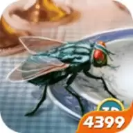 苍蝇模拟器3D