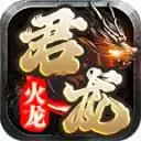 君龙传奇