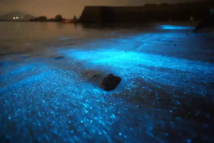 倩女手游3月时装【星罗织梦】梦幻上线,携手国风文旅计划出发平潭岛!