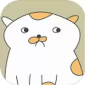 主播和猫的故事