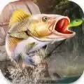 钓鱼大师真实模拟