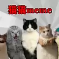 恐怖猫猫惊魂