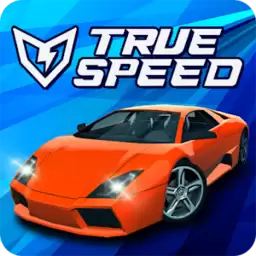 真正的速度游戏