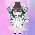 梦幻公主衣橱