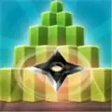 忍者之星手里剑