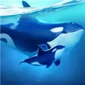 小小水世界 World of Water