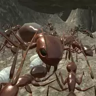 蚂蚁生存模拟器