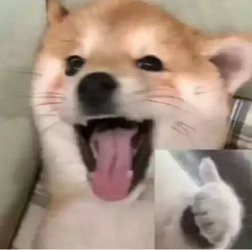 One piece？做银河海盗，抢太空地盘！咱们的目标是星辰大海！