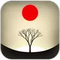 修剪艺术prune