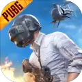 国际服pubg