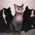 宠物丛林冒险