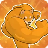 动物之斗竞技场