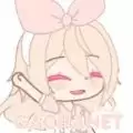 加查not