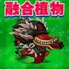 杂交