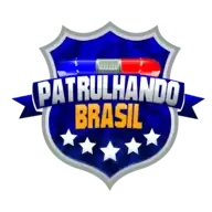 巴西巡逻模拟器
