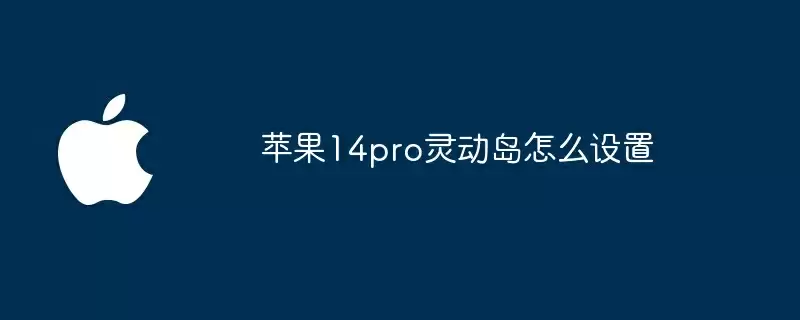 苹果14pro灵动岛怎么设置