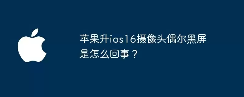 苹果升ios16摄像头偶尔黑屏是怎么回事?
