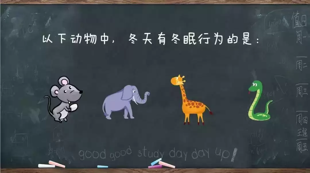 触发器PPT制作指南,打造精美的演示文稿