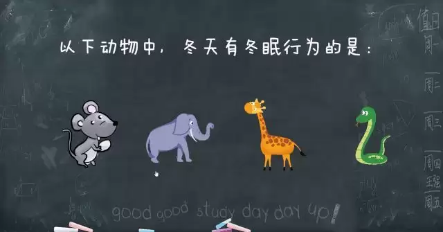 触发器PPT制作指南,打造精美的演示文稿