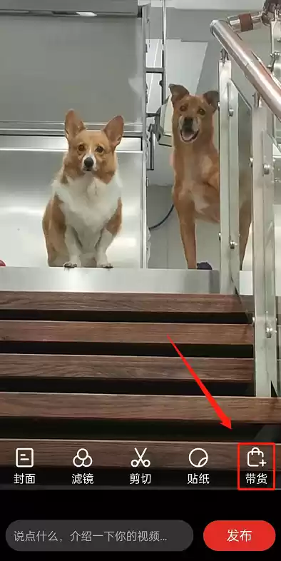 拼多多视频怎么带货 拼多多发布带货视频操作一览