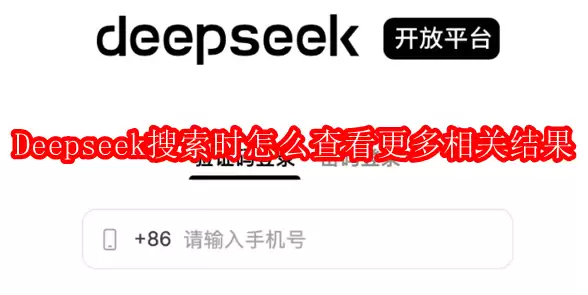 Deepseek搜索时怎么查看更多相关结果