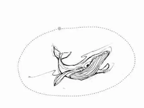 procreate怎样拖动绘制部分 procreate移动图画区域方法介绍