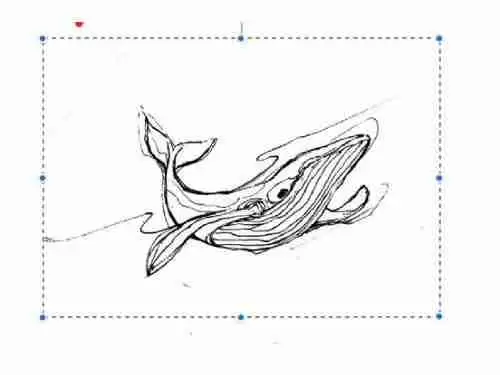 procreate怎样拖动绘制部分 procreate移动图画区域方法介绍