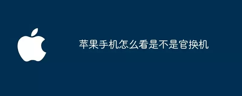 苹果手机怎么看是不是官换机
