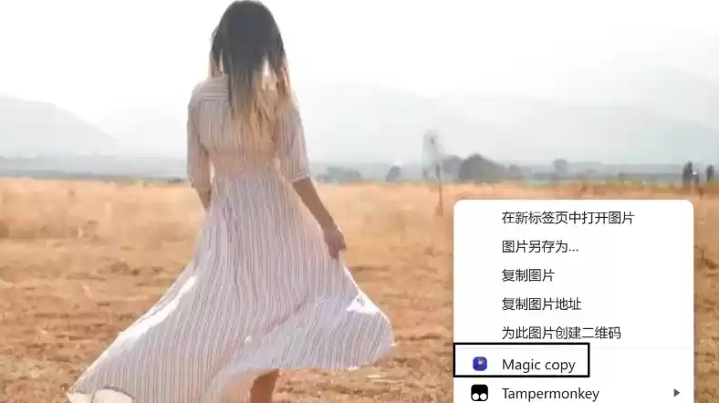 免费看影片的浏览器2025汇总