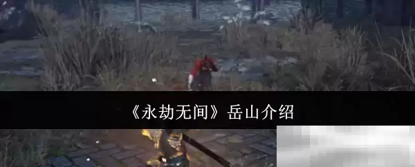 《永劫无间》岳山介绍