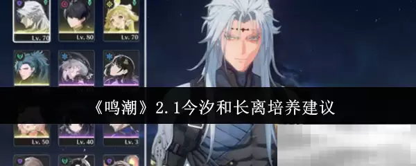 《鸣潮》2.1今汐和长离培养建议