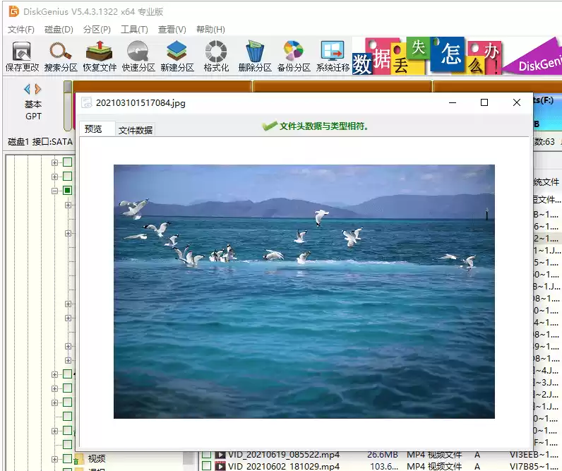 已格式化硬盘数据恢复的教程