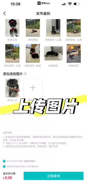 得物宠物鉴别怎么弄 得物宠物鉴别一般多久出接货通知