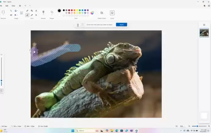 微软最新发布 Windows 11 24H2 正式版，已可下载安装