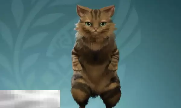 怪物猎人荒野艾露猫捏脸数据分享 狸花猫经典造型还原