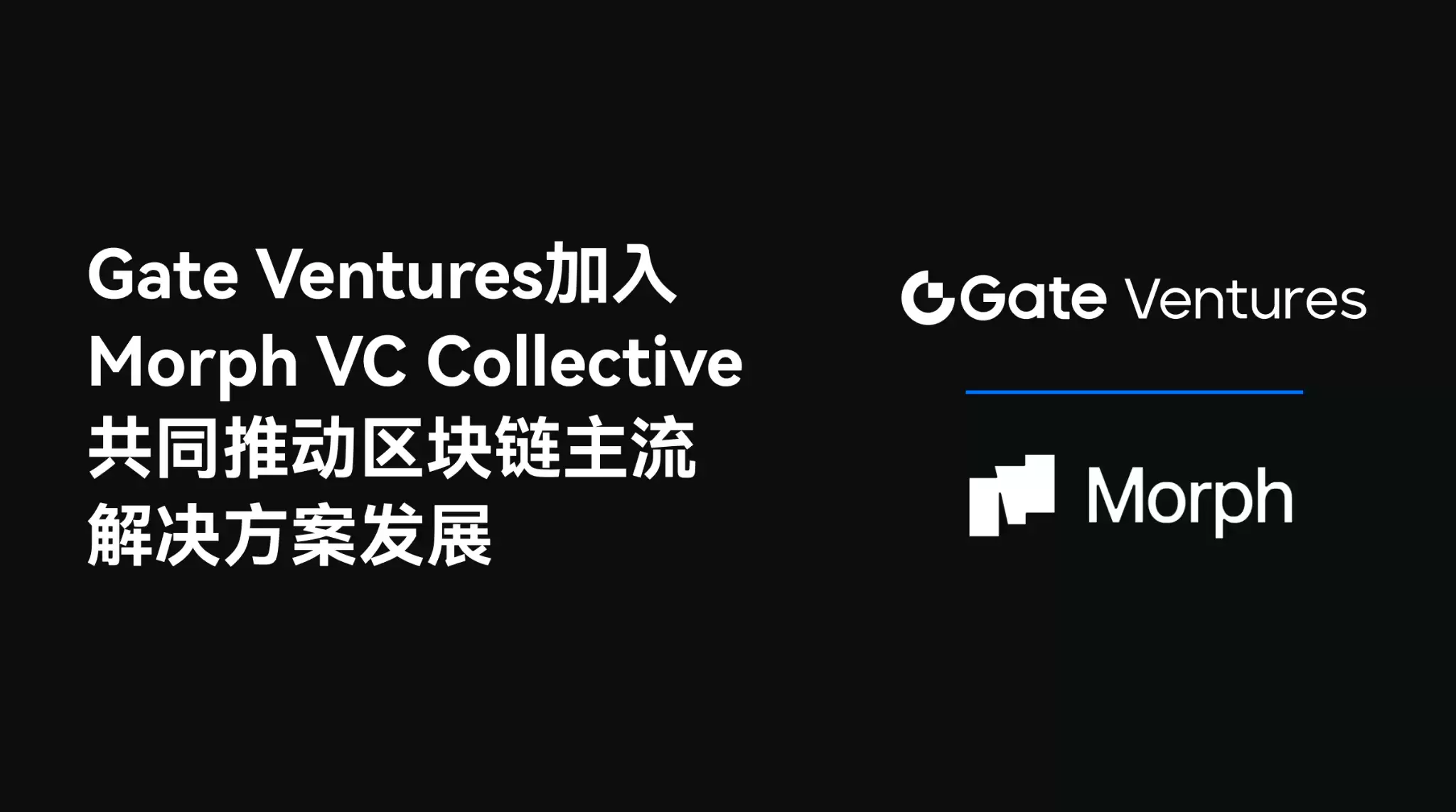 gate ventures加入morph vc collective,共同推动区块链主流解决方案发展