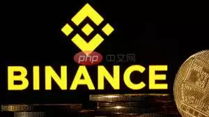 1737702790638957.webp binance.webp