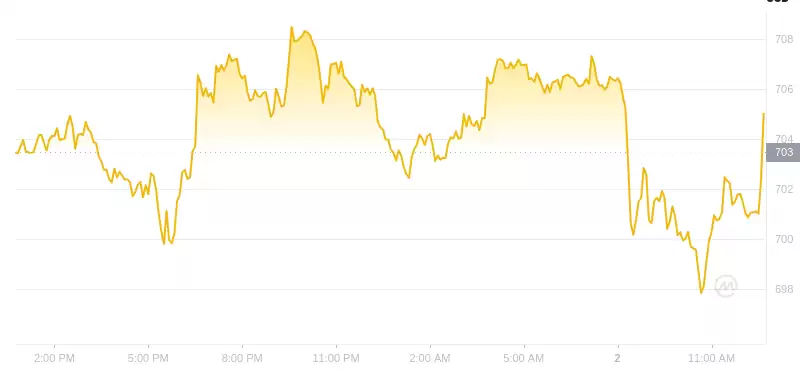 2025年01月02日币安币价格
