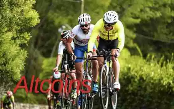 SOL、XRP、ADA自大选后涨幅大胜BTC！FOMO情绪将带动竞争币上涨