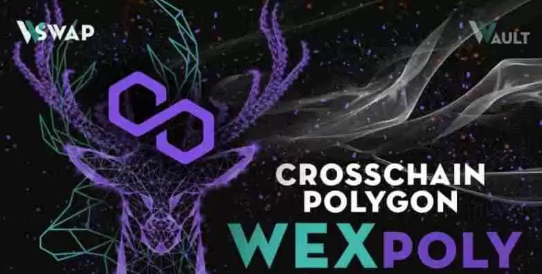 WEX币在哪里可以购买?WEX币上线交易所盘点