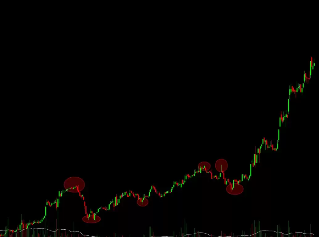如何避免在本次山寨币季中亏损?10个致命错误与应对策略