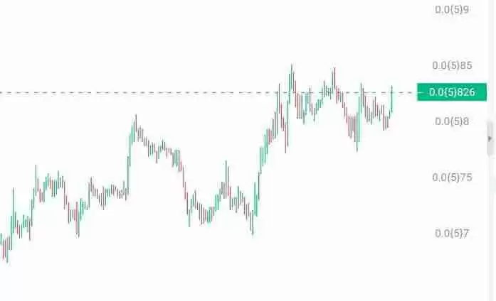 Meme币投资有何潜在风险?有何长期投资价值?