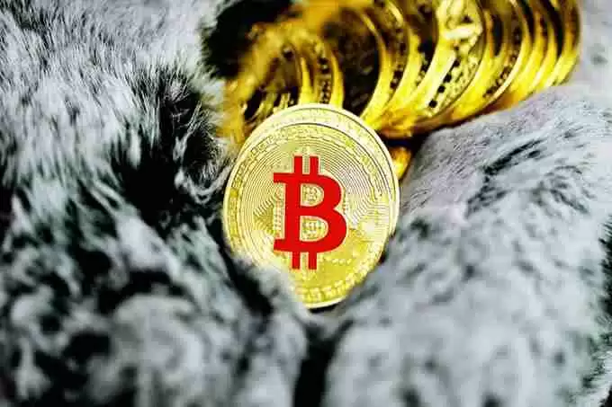 为什么比特币会下跌？BTC价格跌至11月以来的最低水平
