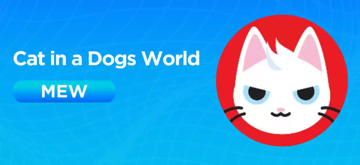 MEW是什么币种?MEW币值得长期持有吗?MEW币前景如何?