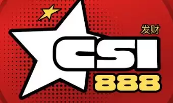 CSI币的前景如何?